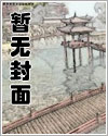 珠珠的秘密小说
